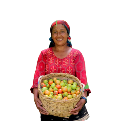 Social Economy